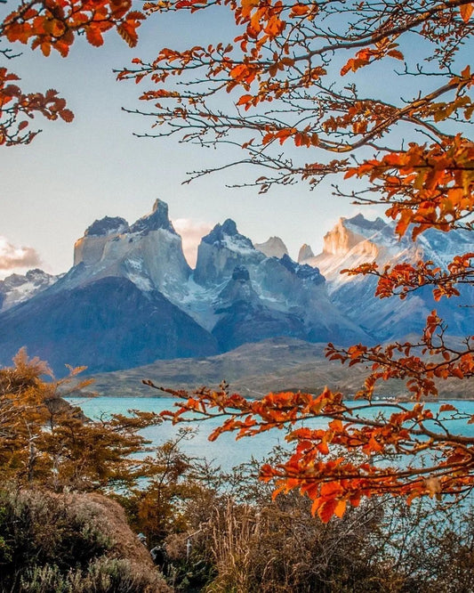 Torres del Paine