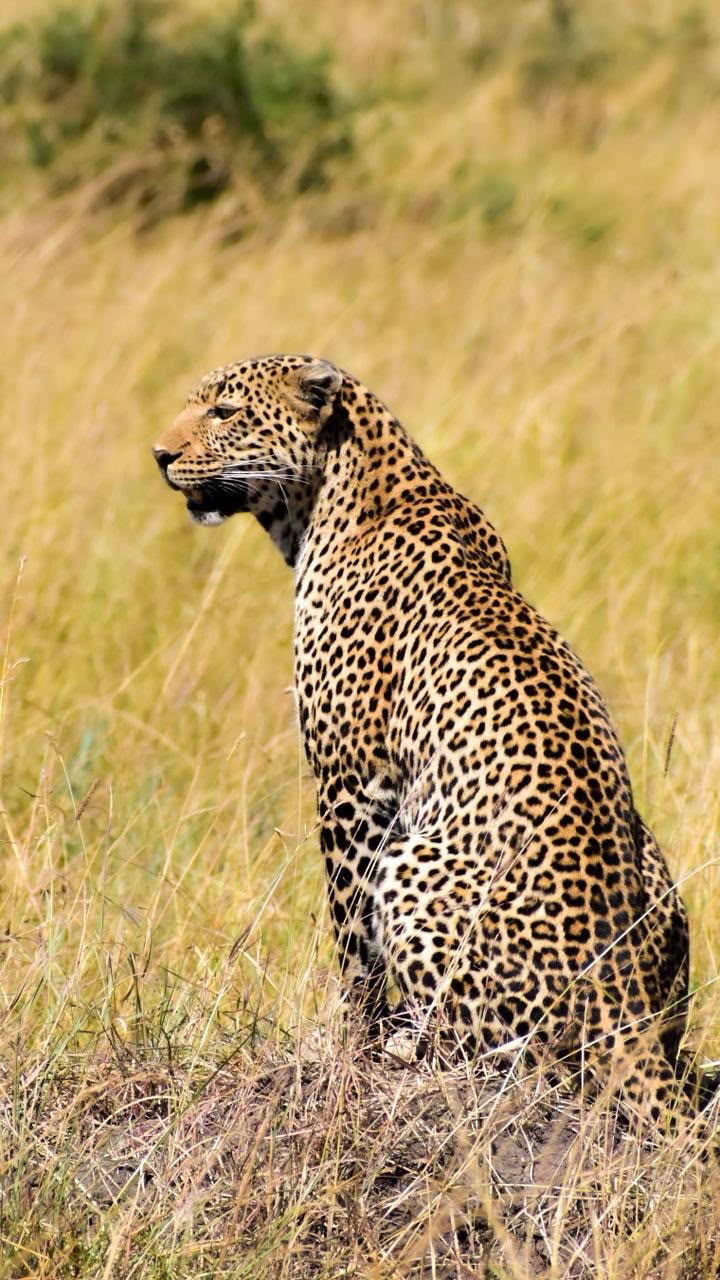 Kenia & Tanzania: Una experiencia Salvaje