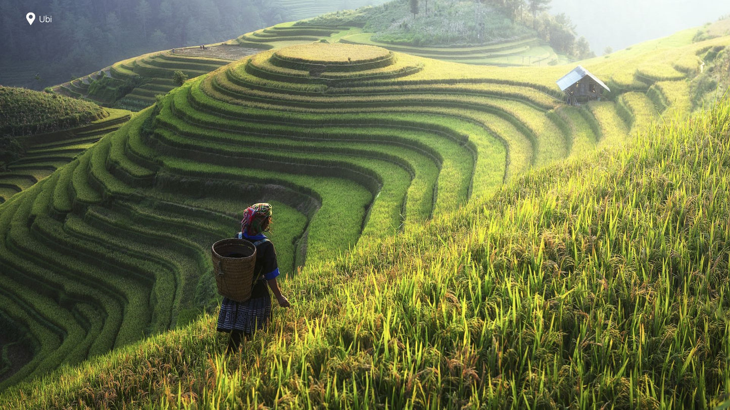 Vietnam & Camboya