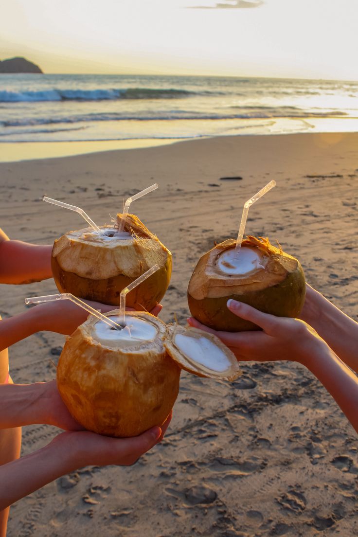 Costa Rica: Un viaje al corazón de la naturaleza