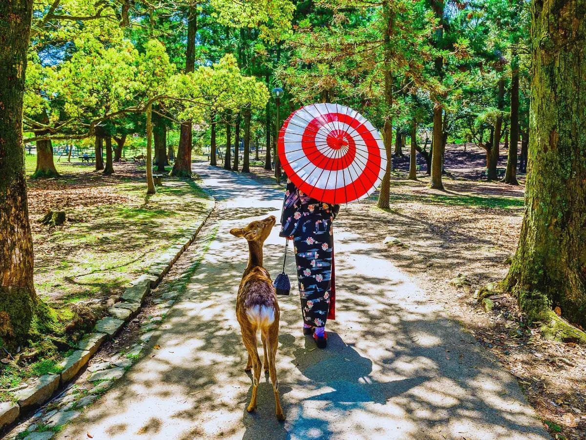 Japón