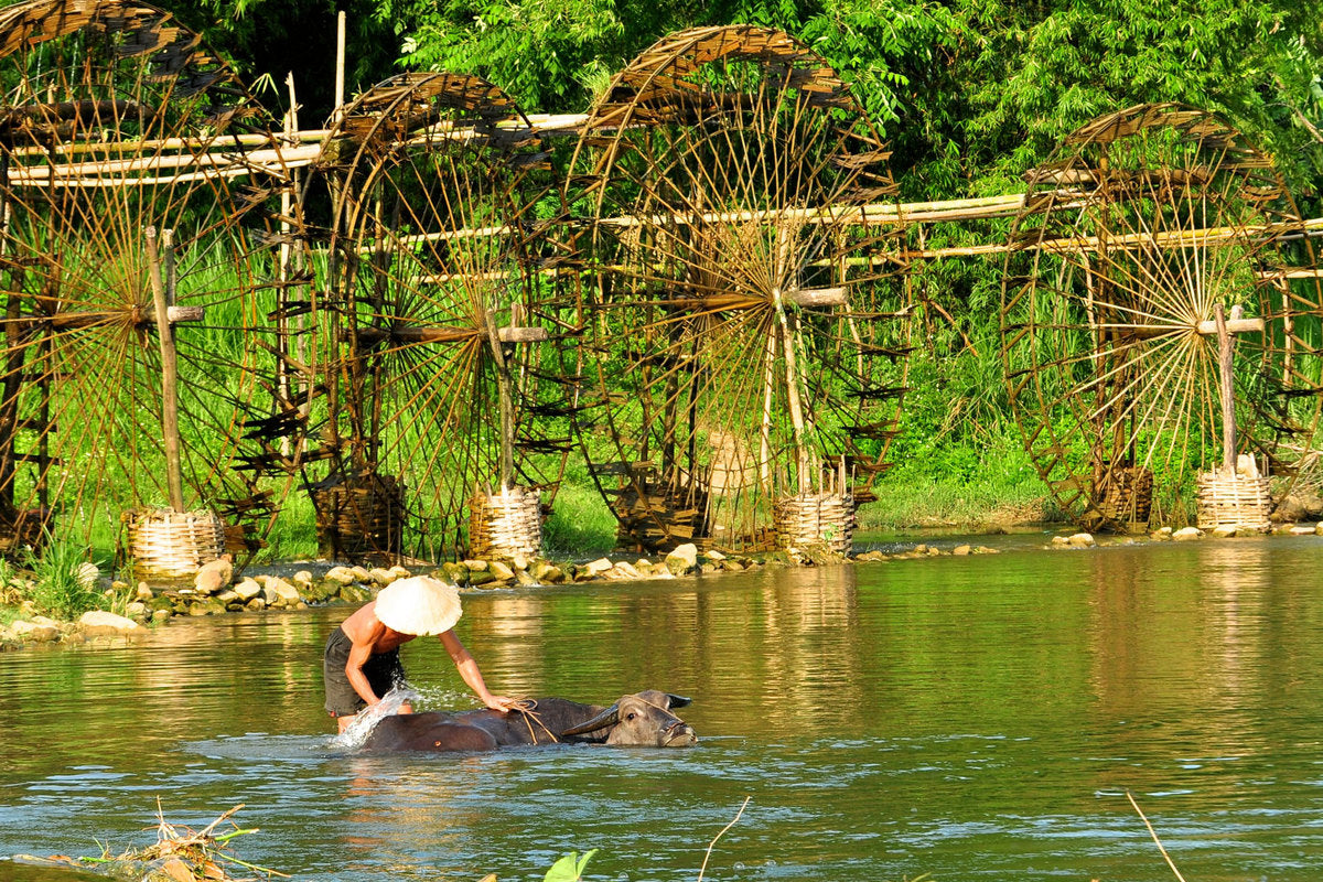 Vietnam & Camboya