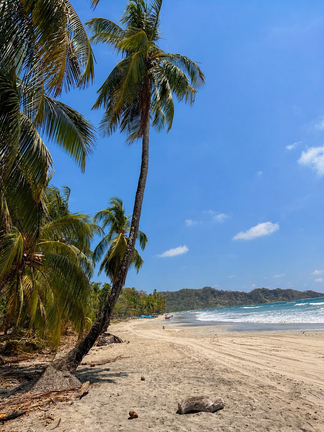 Costa Rica: Un viaje al corazón de la naturaleza
