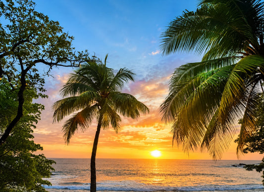 Costa Rica: Un viaje al corazón de la naturaleza