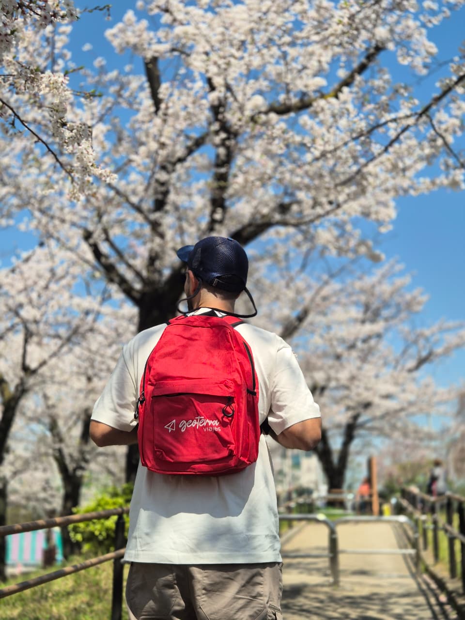 Japón