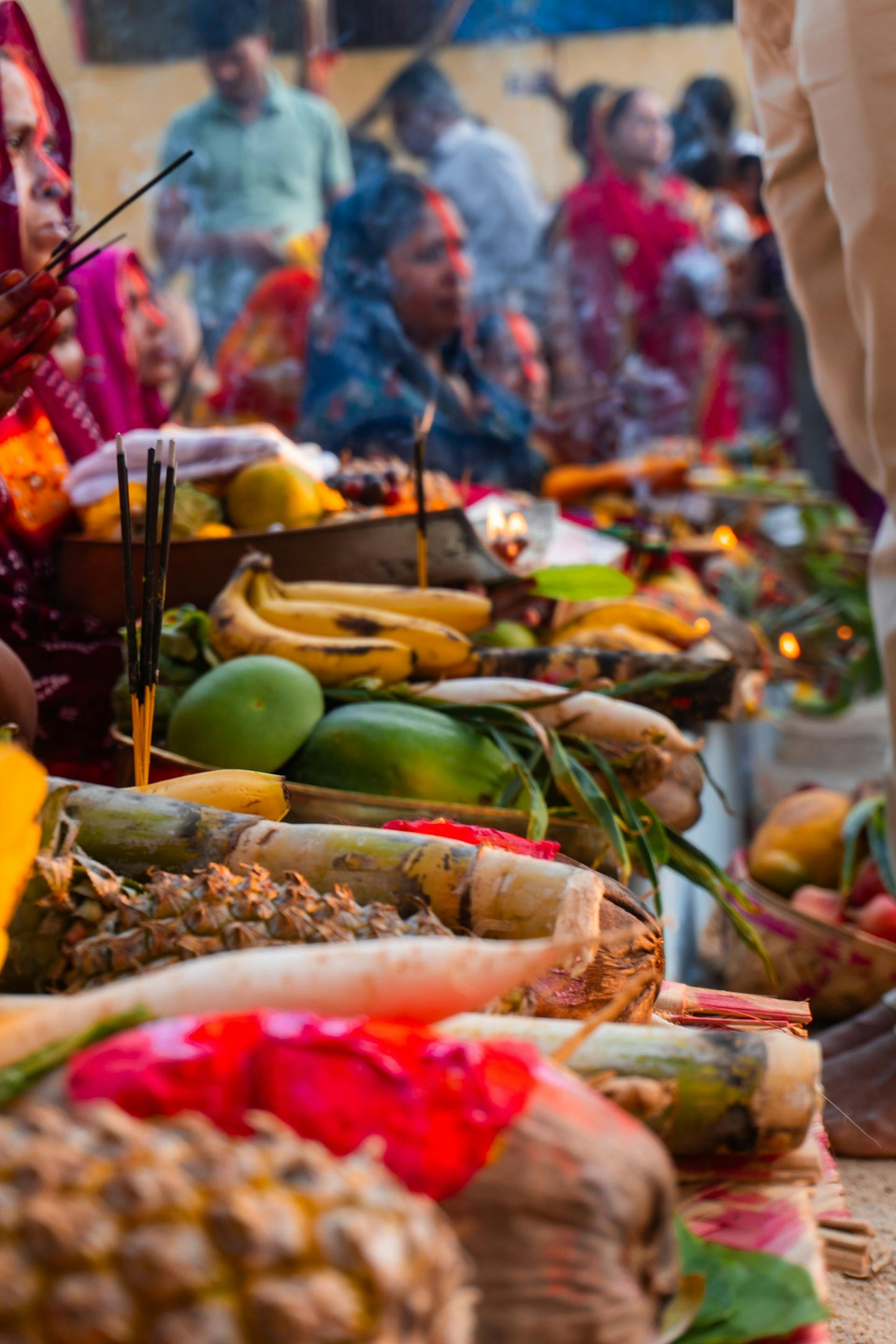 India, un viaje para contemplar y sanar