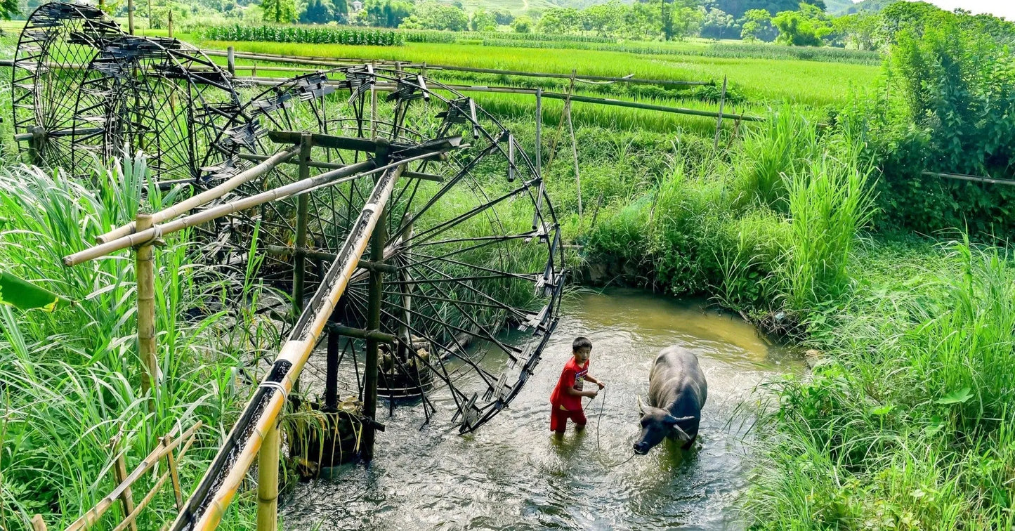 Vietnam & Camboya